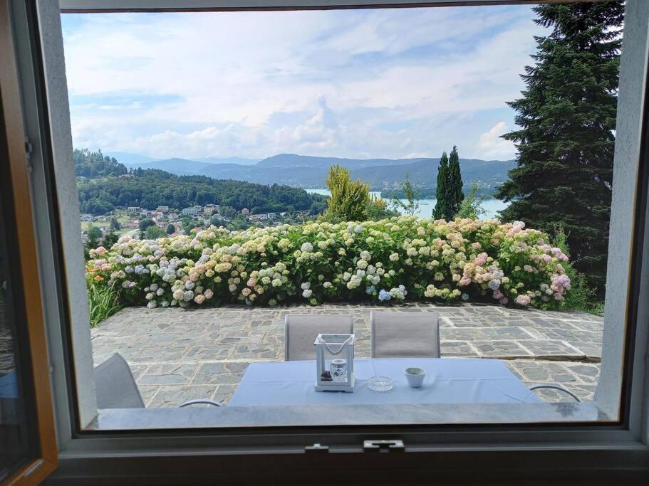 Haus Sonnenhang +Seeblick+Pool Райфниц Экстерьер фото