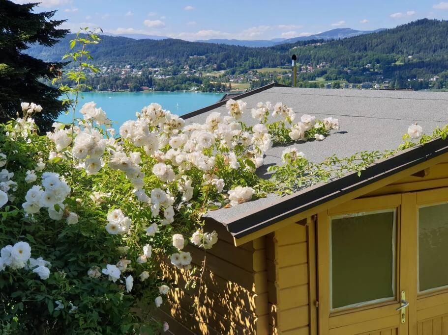 Haus Sonnenhang +Seeblick+Pool Райфниц Экстерьер фото