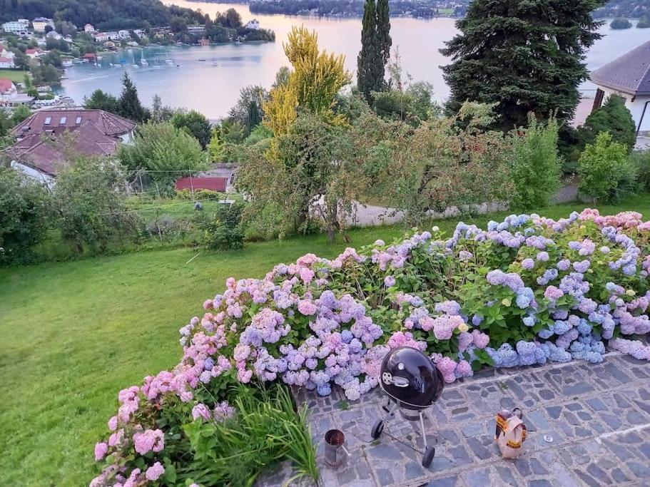 Haus Sonnenhang +Seeblick+Pool Райфниц Экстерьер фото